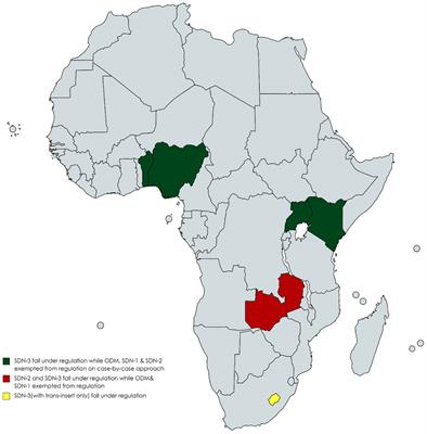 Navigating biosafety regulatory frameworks for genetic engineering in Africa: a focus on genome editing and gene drive technologies